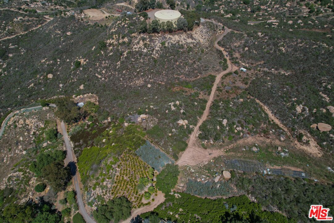 0 Donnil Lane Fallbrook, CA 92028 - Photo 14 of 17 a picture of tree