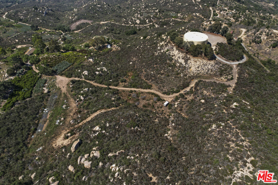 0 Donnil Lane Fallbrook, CA 92028 - Photo 7 of 17 a close up of a tree in a field