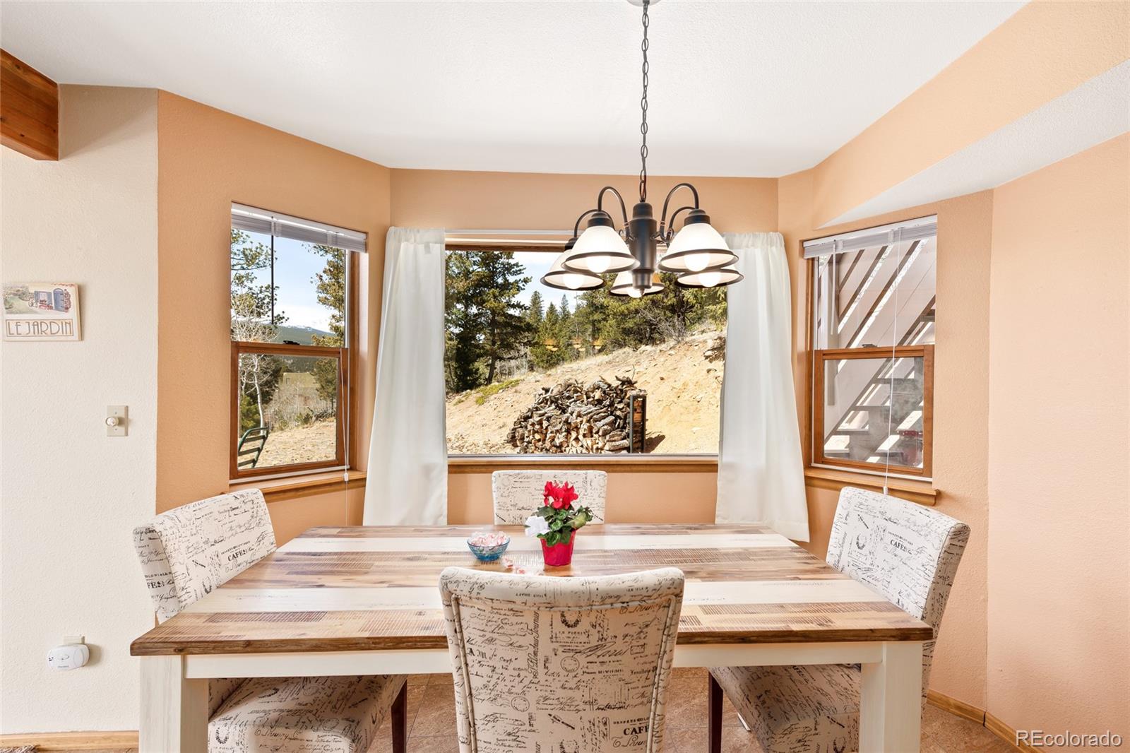 5306 Deer Creek Road Bailey, CO 80421 - Photo 12 of 35 Gallery Image 12