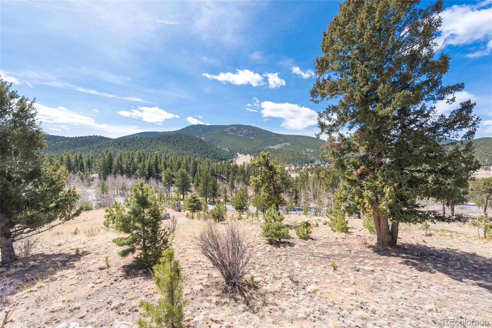 5306 Deer Creek Road Bailey, CO 80421 - Photo 27 of 35 Gallery Image 27