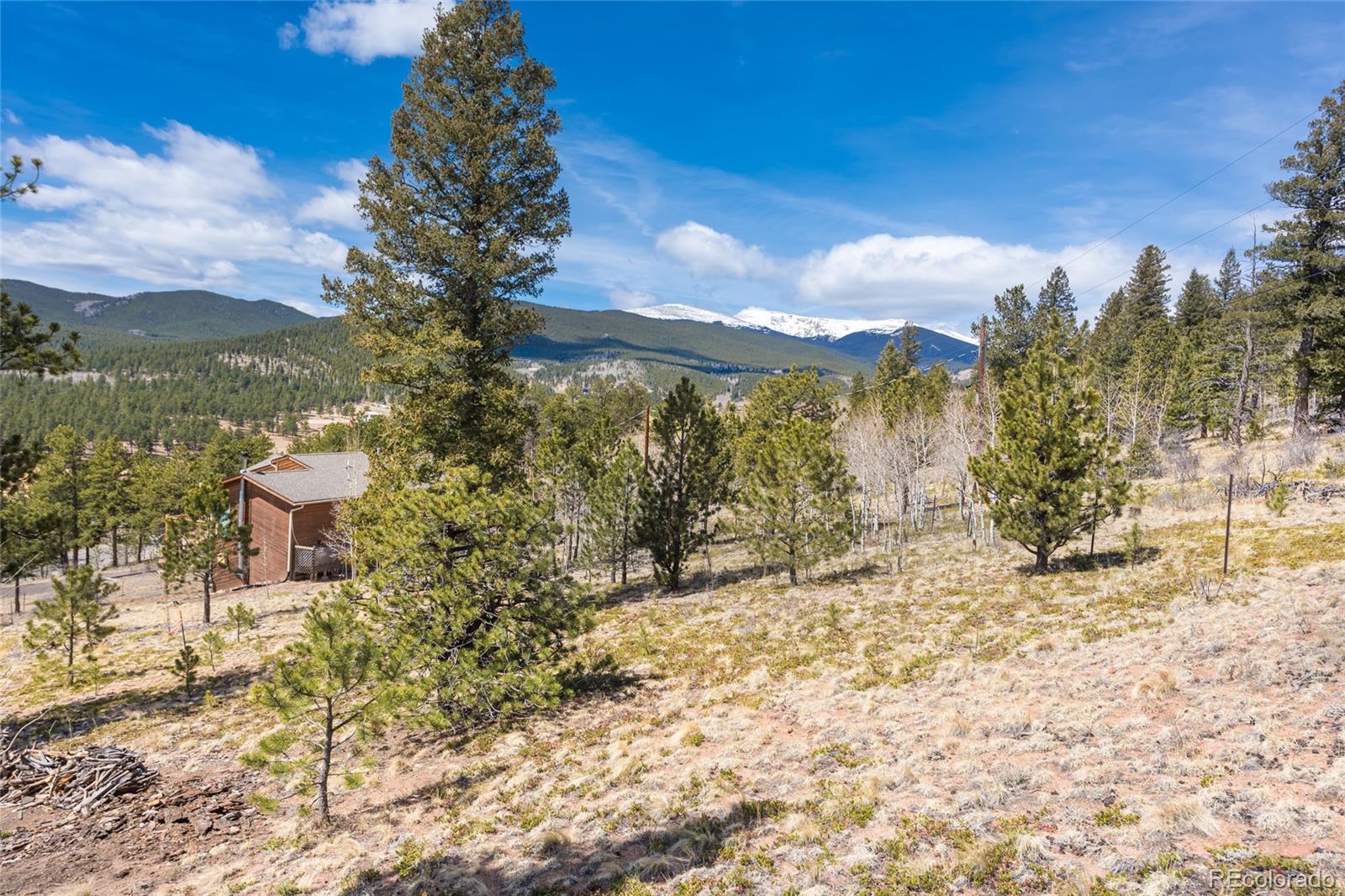 5306 Deer Creek Road Bailey, CO 80421 - Photo 29 of 35 Gallery Image 29