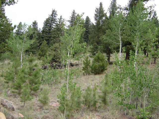 5306 Deer Creek Road Bailey, CO 80421 - Photo 32 of 35 Gallery Image 32