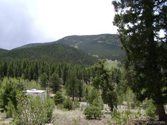 5306 Deer Creek Road Bailey, CO 80421 - Photo 33 of 35 Gallery Image 33