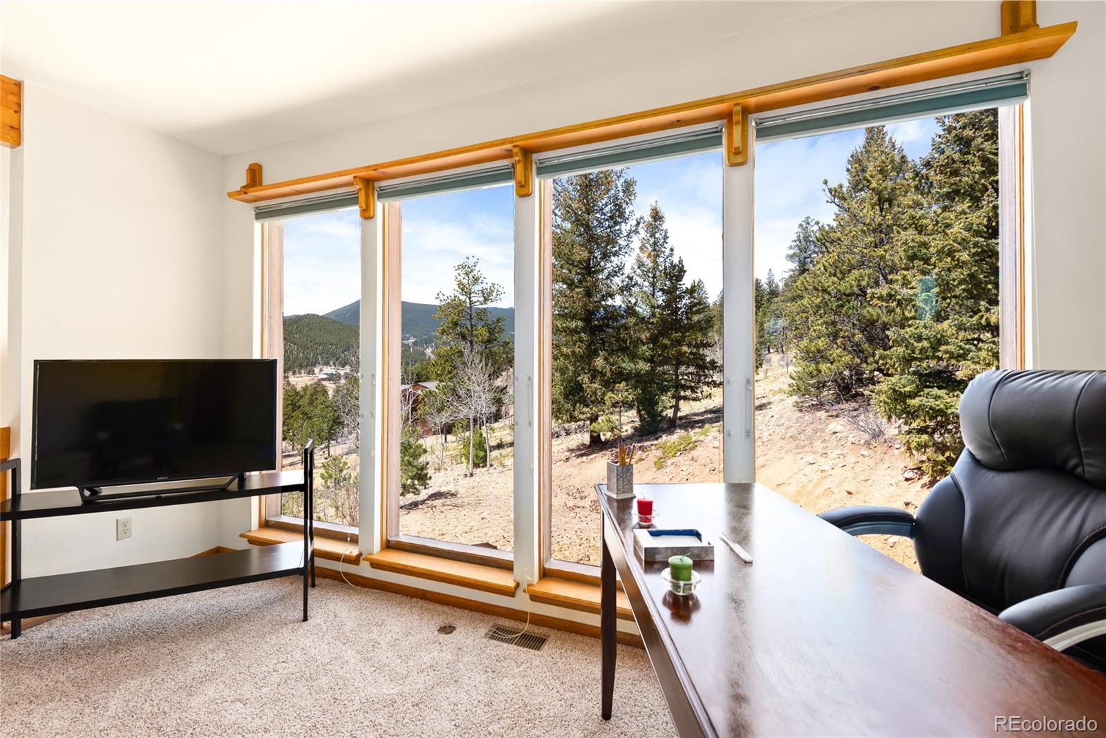5306 Deer Creek Road Bailey, CO 80421 - Photo 4 of 35 Gallery Image 4