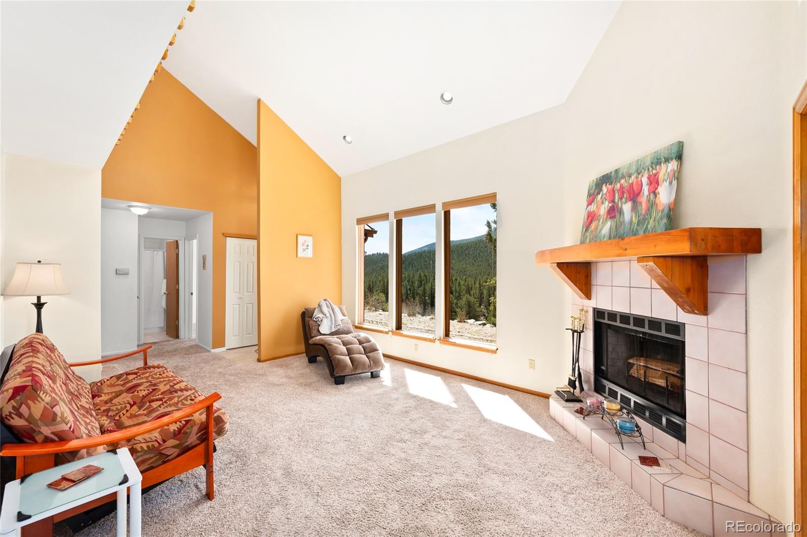 5306 Deer Creek Road Bailey, CO 80421 - Photo 8 of 35 Gallery Image 8