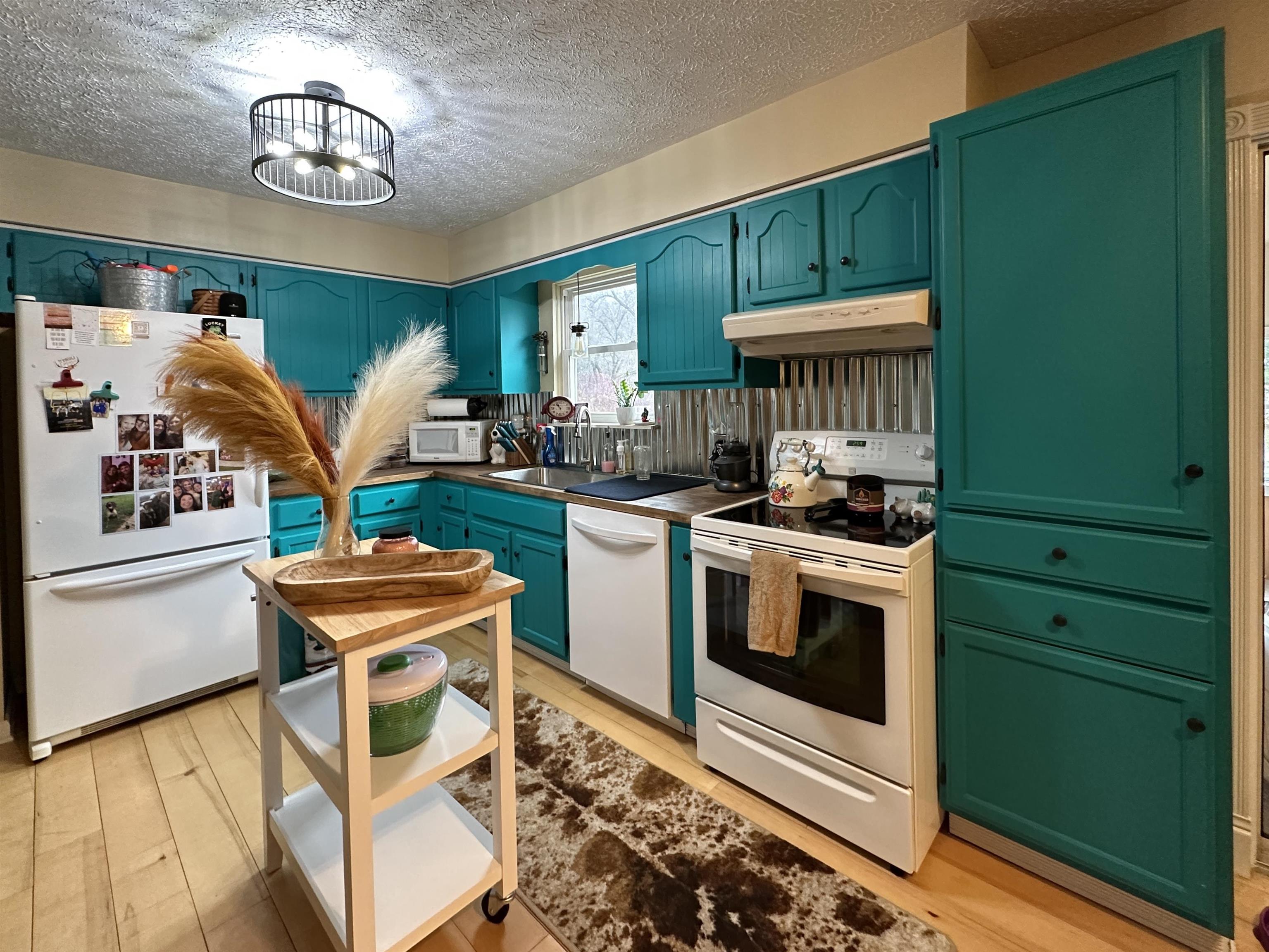 10289 East Lovejoy Road Perry, MI 48872 - Photo 5 of 46 50097208-4.JPG