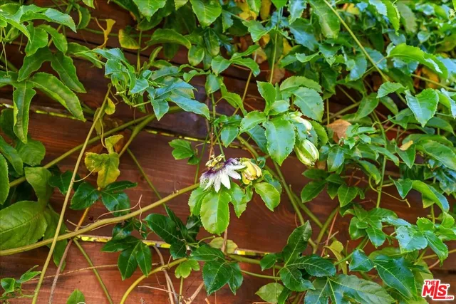 a view of a house with a outdoor space