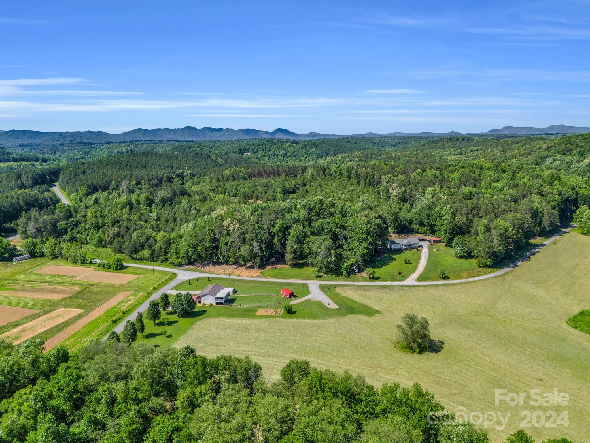202 Mogene Road Rutherfordton, NC 28139 - Photo 12 of 40 a view of a big yard with lawn chairs and large trees