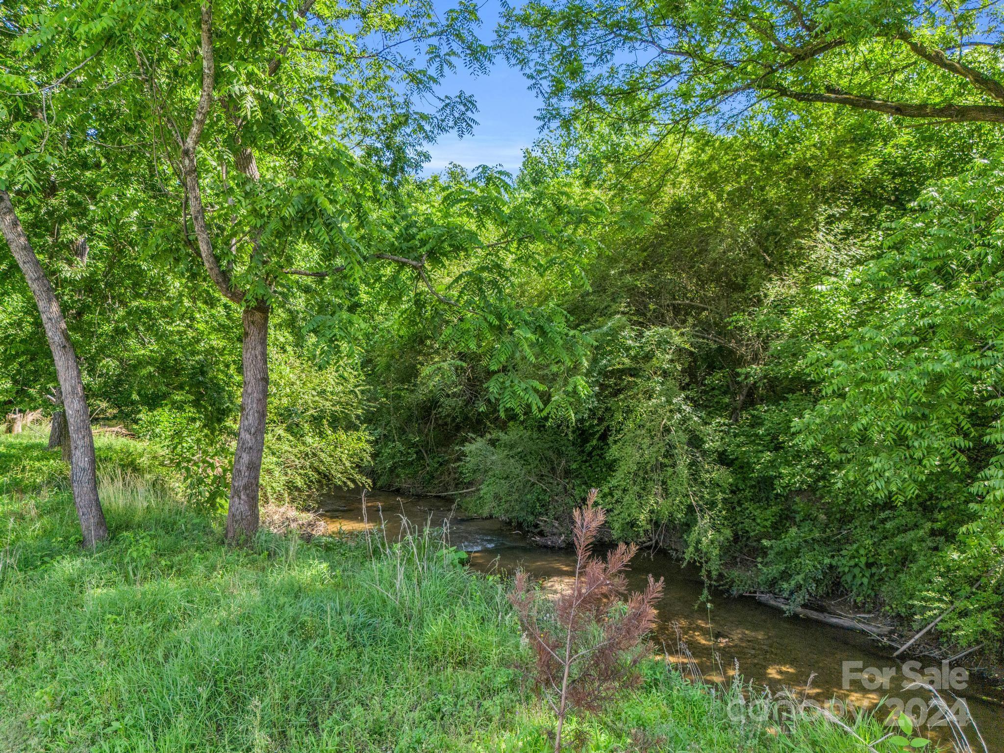 202 Mogene Road Rutherfordton, NC 28139 - Photo 20 of 40 a view of a lush green forest