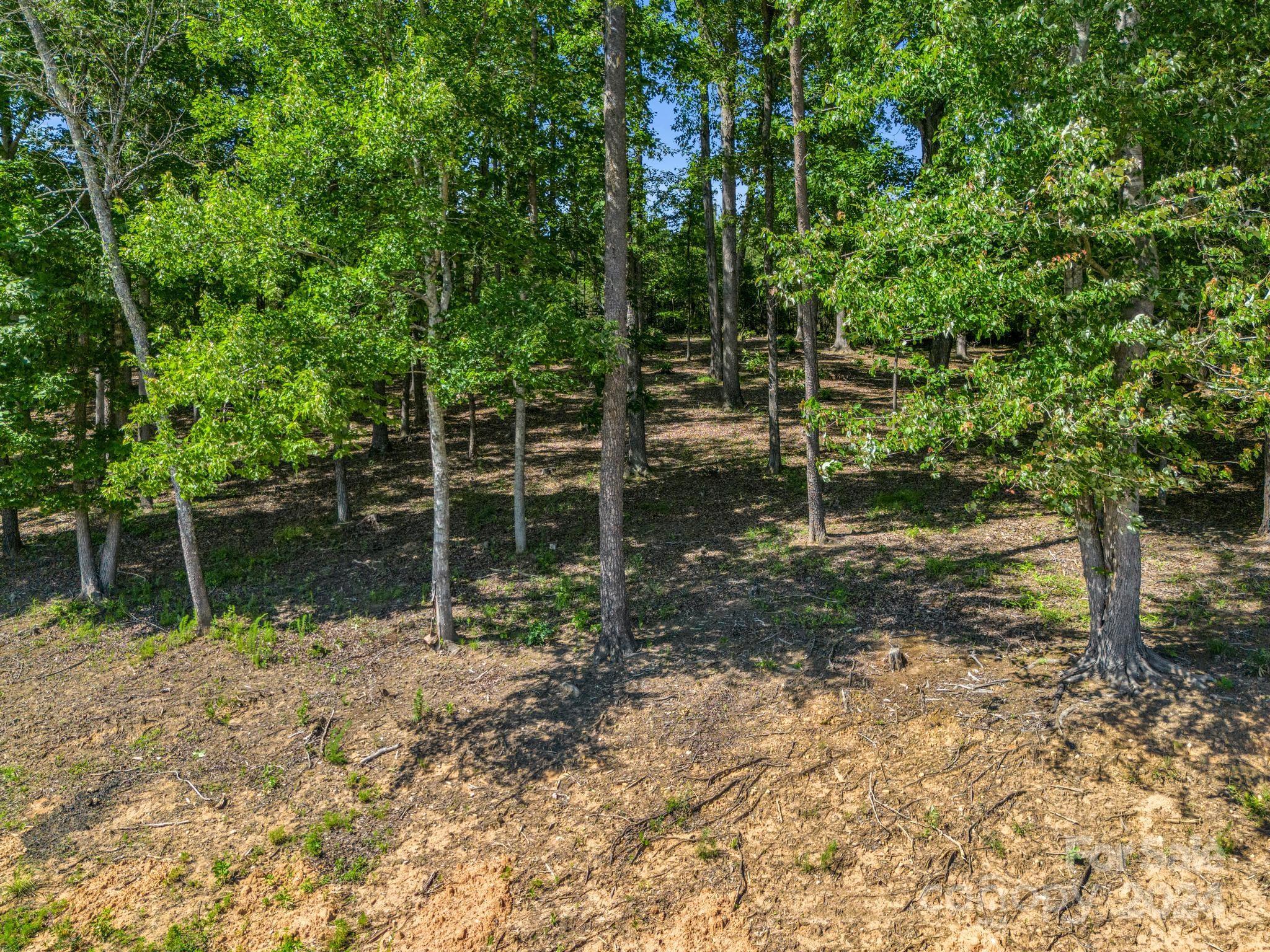 202 Mogene Road Rutherfordton, NC 28139 - Photo 21 of 40 a backyard of a house with lots of plants and large trees