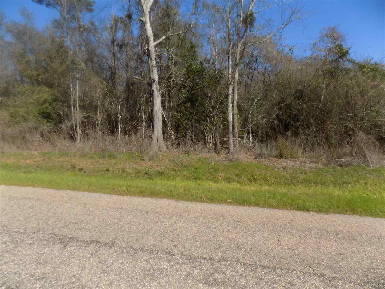 20000-pid Hall Road Jay, FL 32565 - Photo 1 of 8 Gallery Image 1