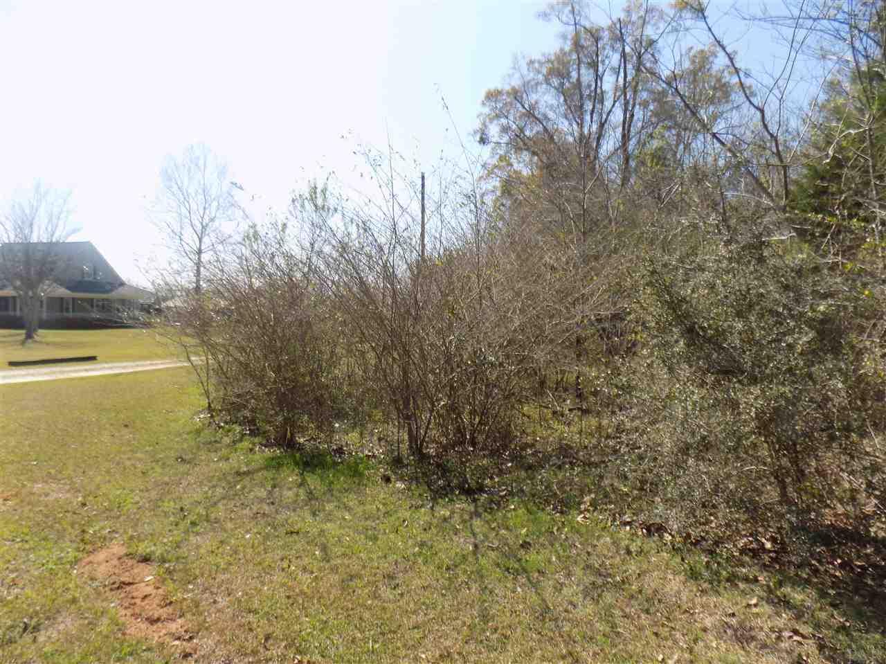 20000-pid Hall Road Jay, FL 32565 - Photo 5 of 8 Gallery Image 5