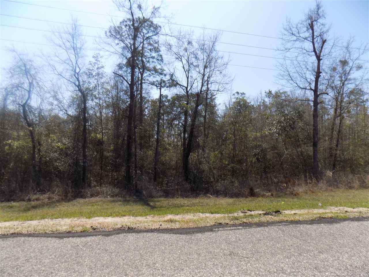 20000-pid Hall Road Jay, FL 32565 - Photo 7 of 8 Gallery Image 7