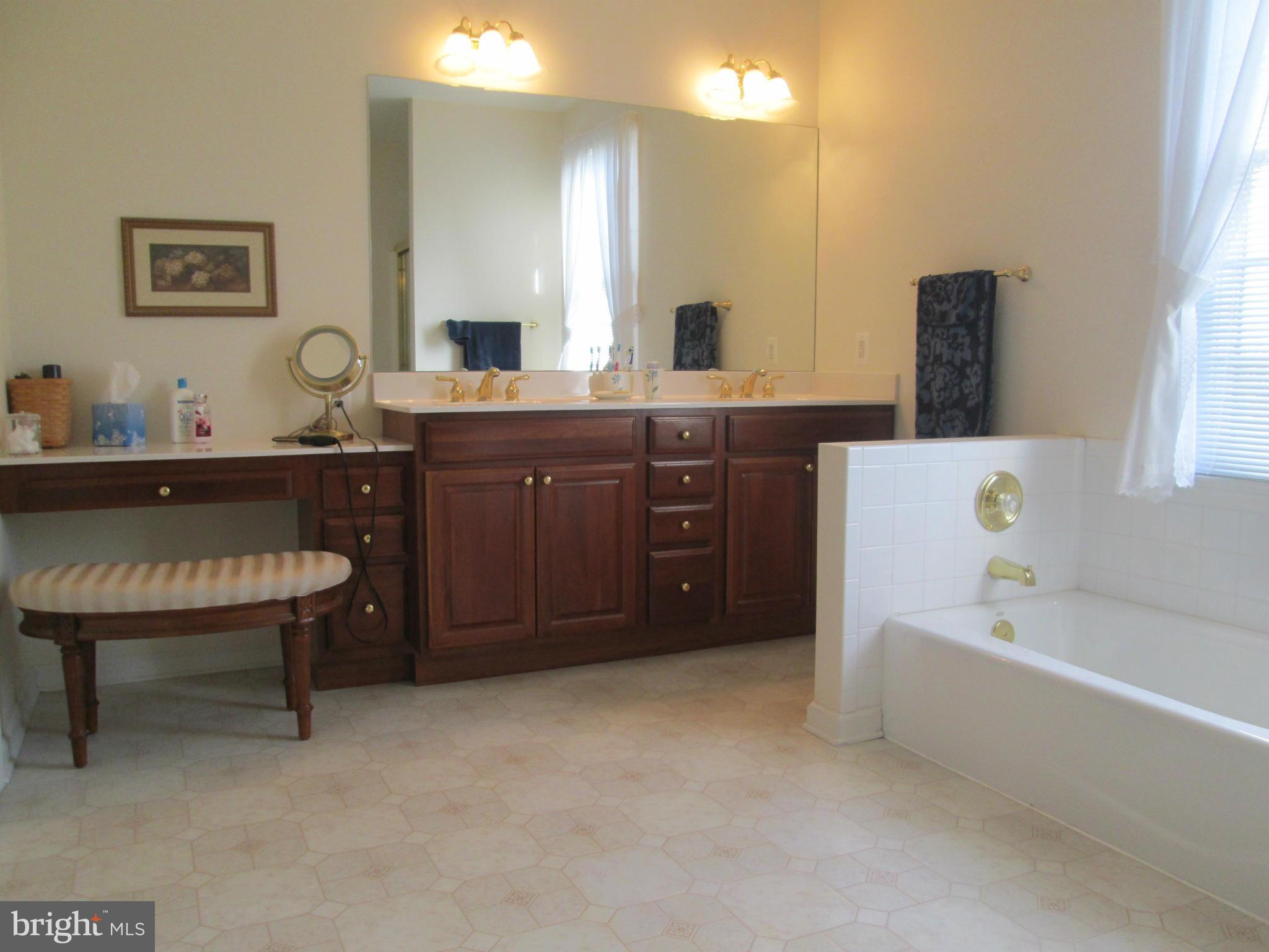 343 Russell Road Berryville, VA 22611 - Photo 18 of 30 Bath (Master)