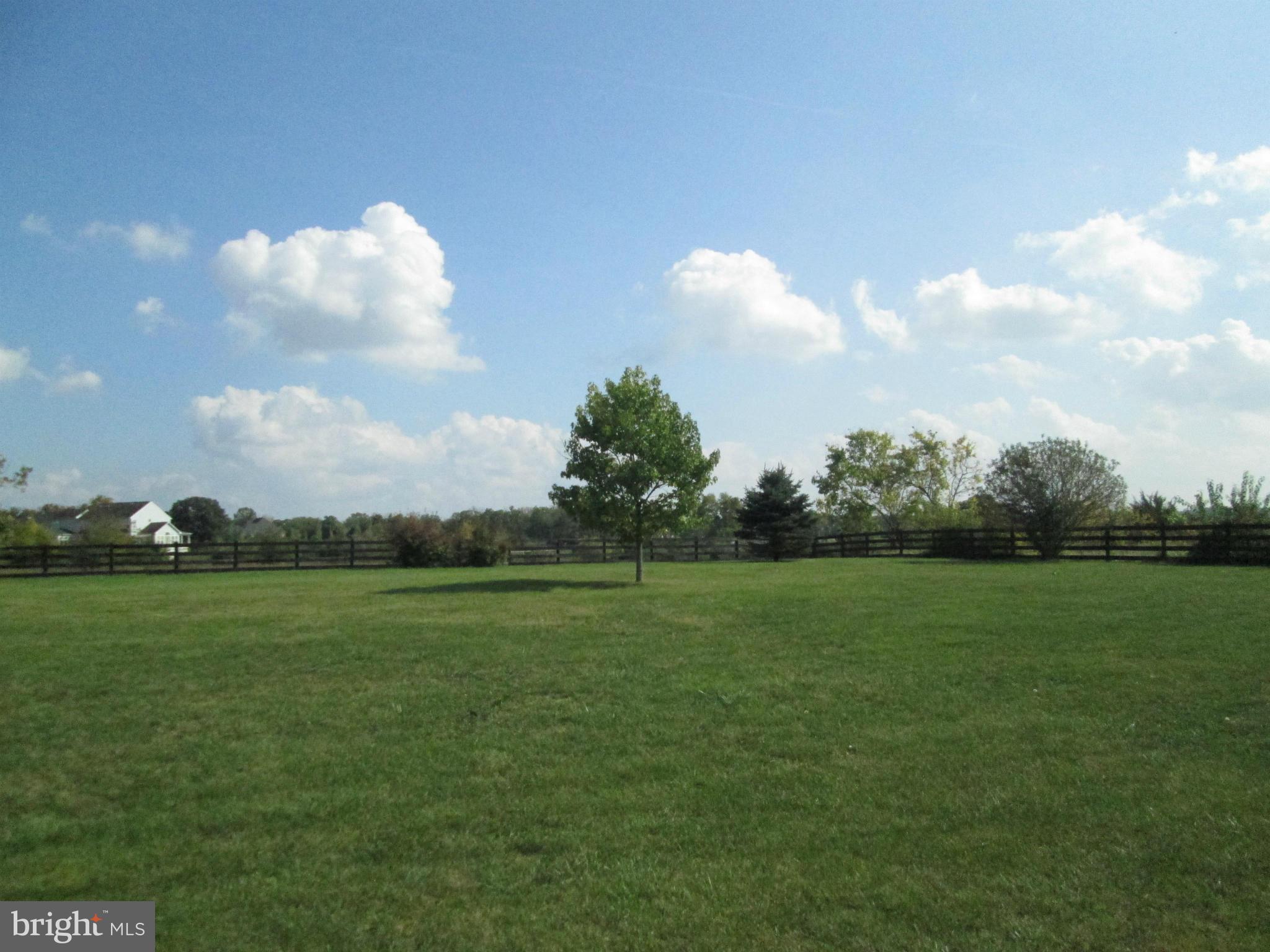 343 Russell Road Berryville, VA 22611 - Photo 27 of 30 Front Yard