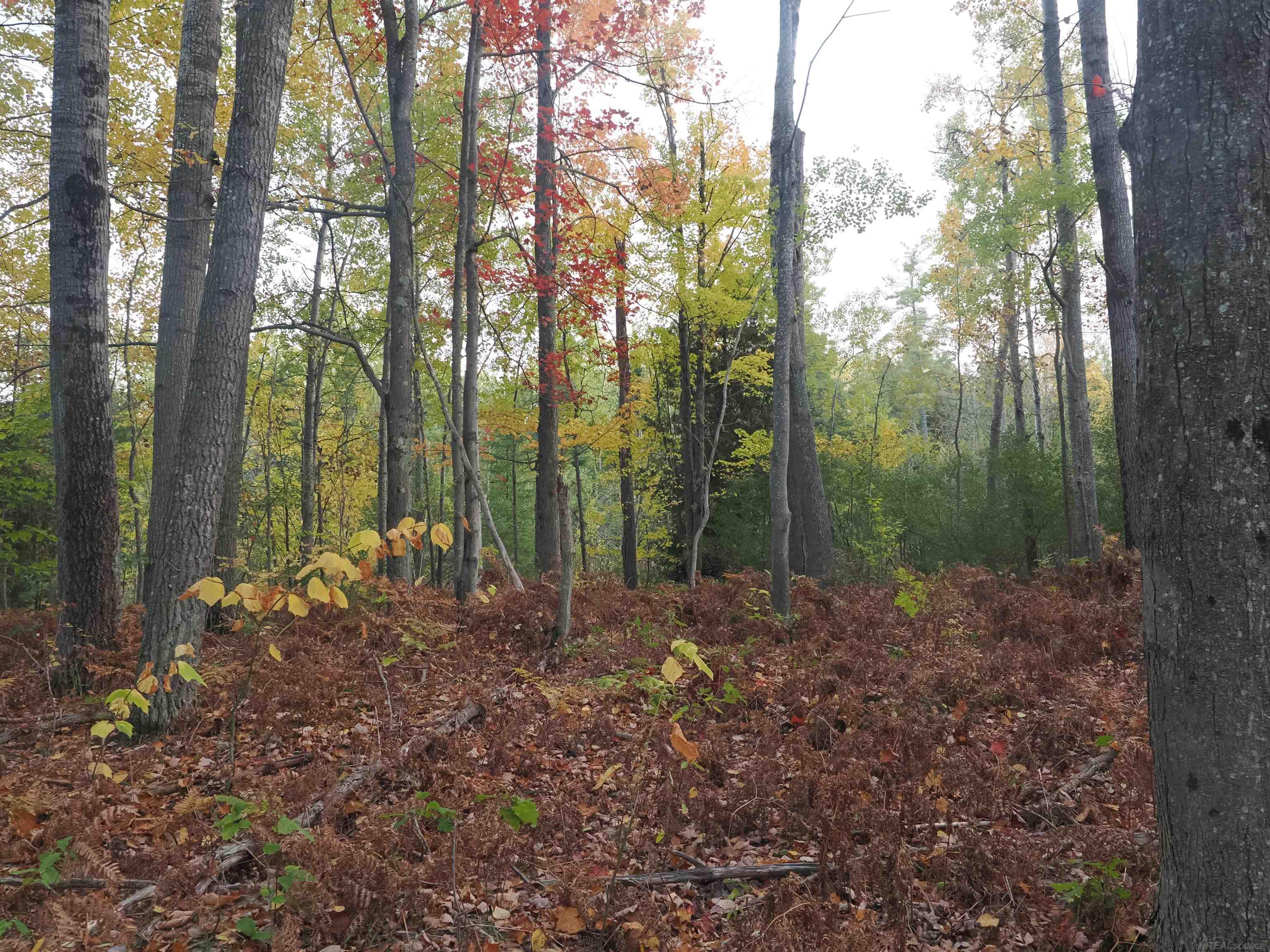 Xxx Tolan Road Spruce, MI 48762 - Photo 31 of 79