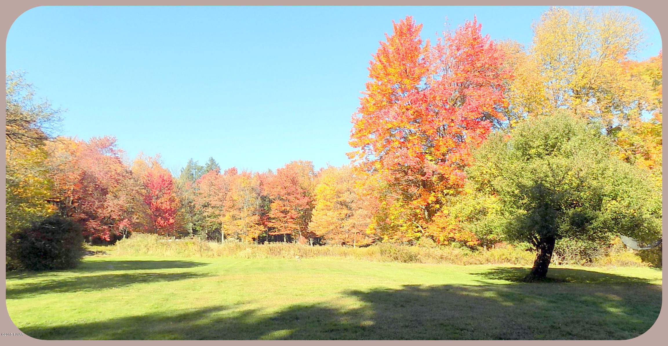 295 German Valley Road Canadensis, PA 18325 - Photo 6 of 53