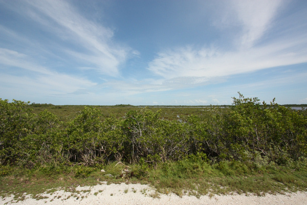 3984 Eugene Road Big Pine Key, FL 33043 - Photo 33 of 36 Looking at wildlife refuge from Mills Rd