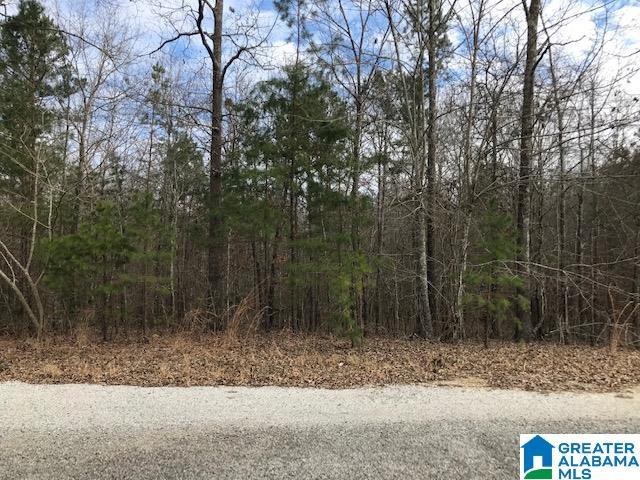 Campbell Road, Unit 70579 Munford, AL 36268 - Photo 1 of 1
