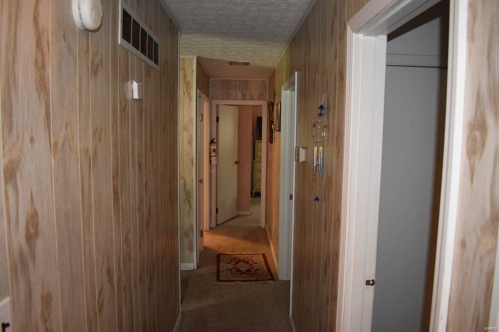2955 Bono Road Staunton, IL 62088 - Photo 15 of 50
