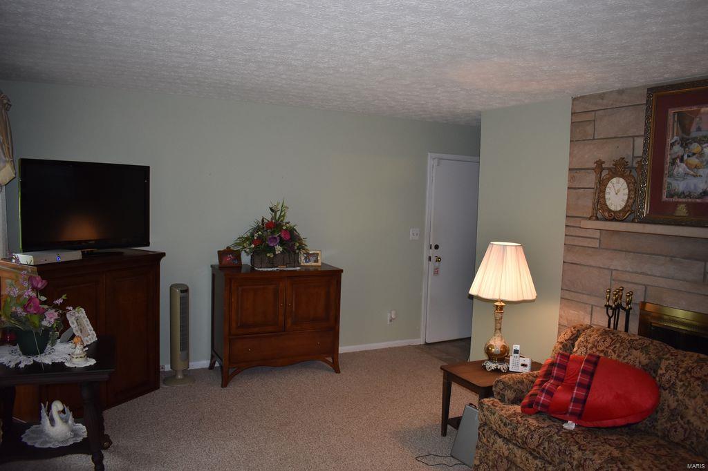 2955 Bono Road Staunton, IL 62088 - Photo 16 of 50