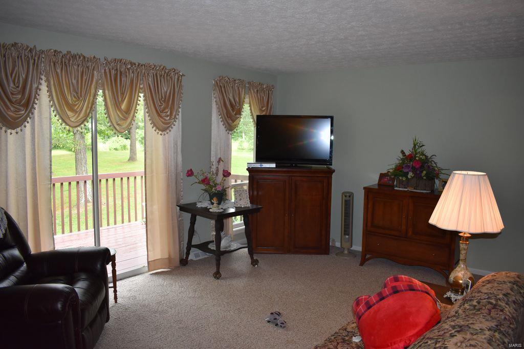 2955 Bono Road Staunton, IL 62088 - Photo 17 of 50
