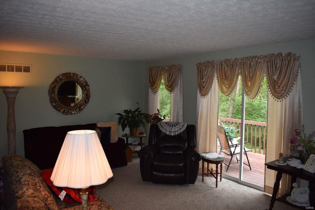 2955 Bono Road Staunton, IL 62088 - Photo 19 of 50