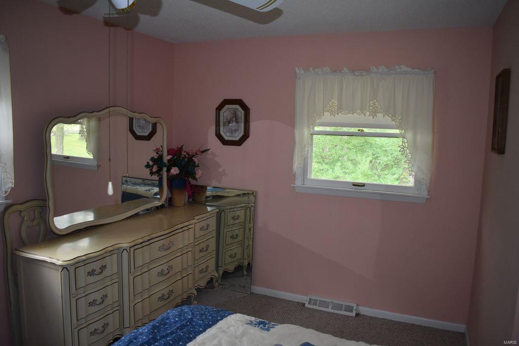 2955 Bono Road Staunton, IL 62088 - Photo 27 of 50