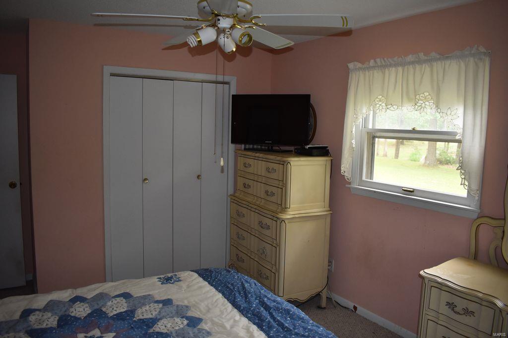 2955 Bono Road Staunton, IL 62088 - Photo 28 of 50