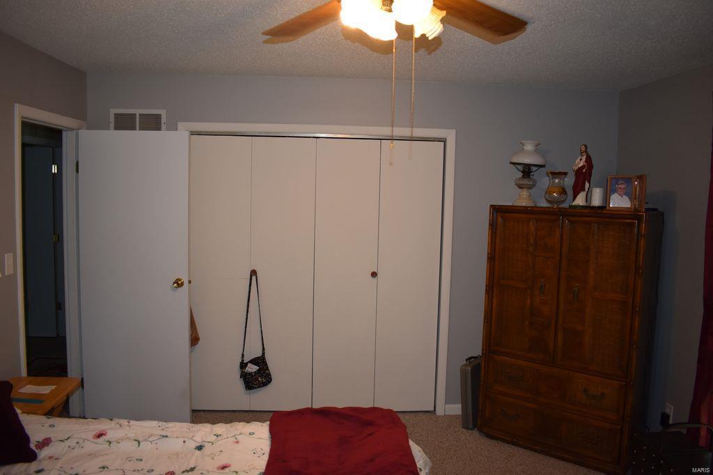 2955 Bono Road Staunton, IL 62088 - Photo 29 of 50