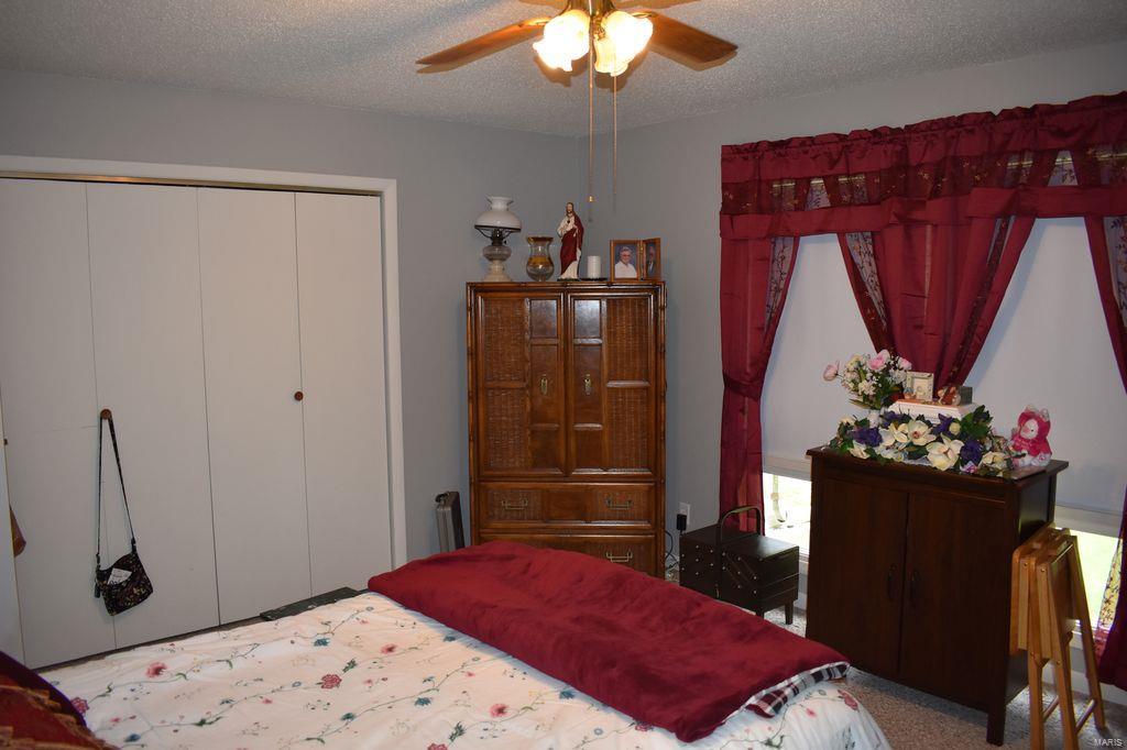 2955 Bono Road Staunton, IL 62088 - Photo 30 of 50