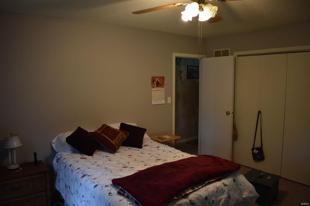2955 Bono Road Staunton, IL 62088 - Photo 31 of 50