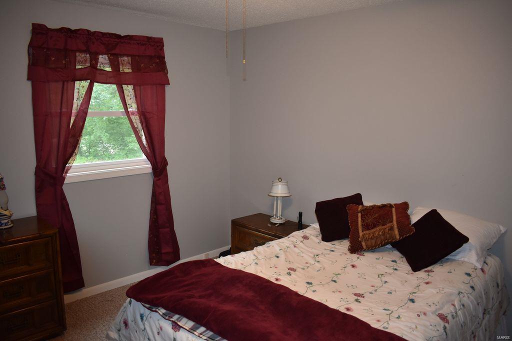 2955 Bono Road Staunton, IL 62088 - Photo 32 of 50