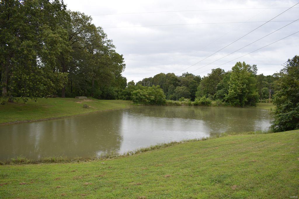 2955 Bono Road Staunton, IL 62088 - Photo 42 of 50