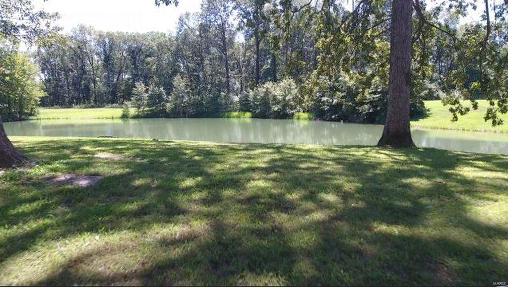 2955 Bono Road Staunton, IL 62088 - Photo 50 of 50