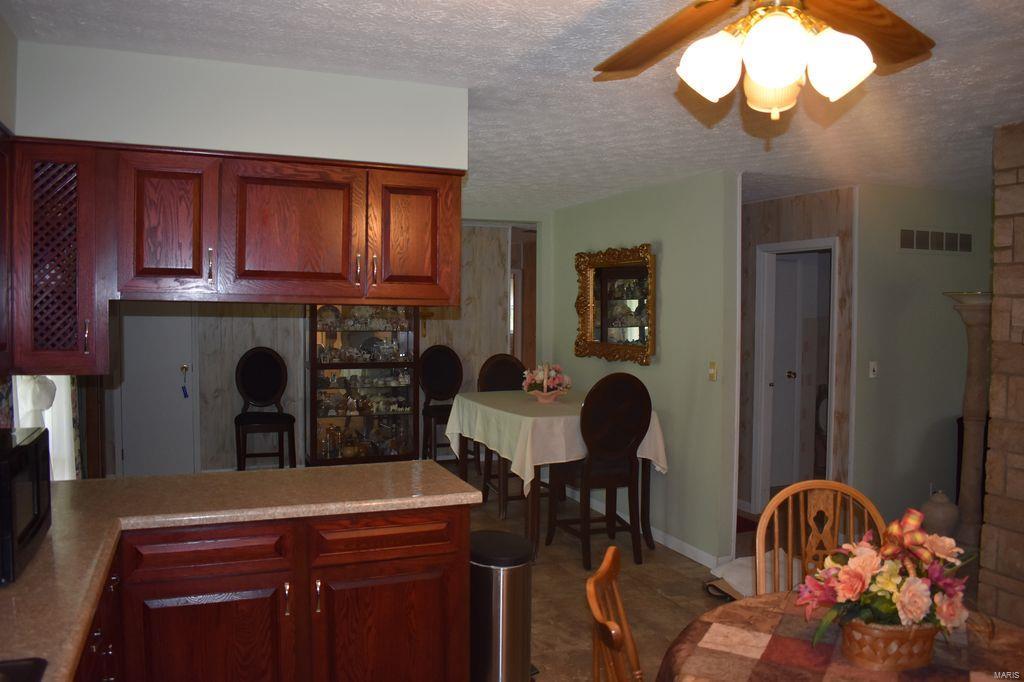 2955 Bono Road Staunton, IL 62088 - Photo 6 of 50