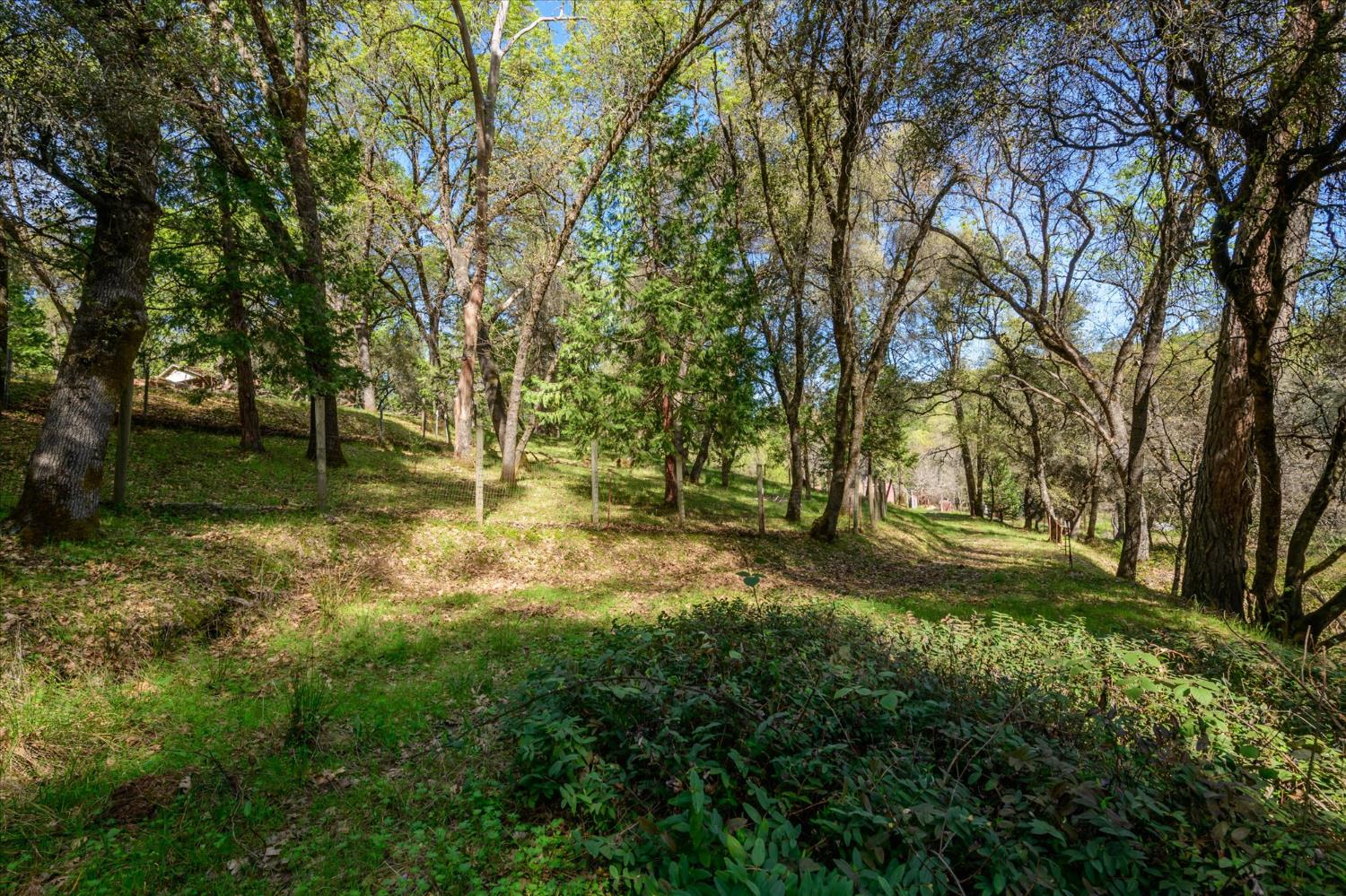 3640 Omo Ranch Road Somerset, CA 95684 - Photo 40 of 57