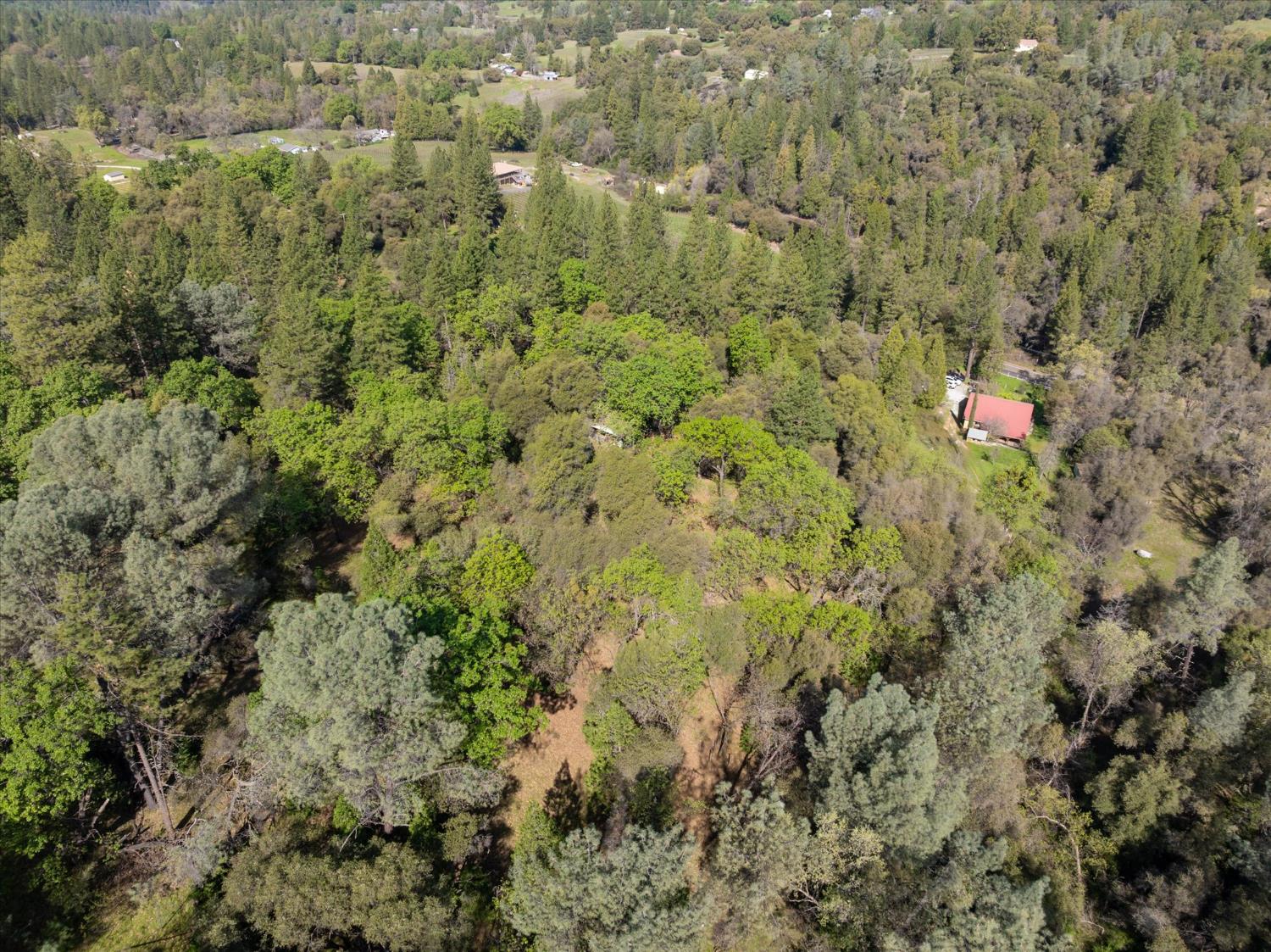 3640 Omo Ranch Road Somerset, CA 95684 - Photo 43 of 57