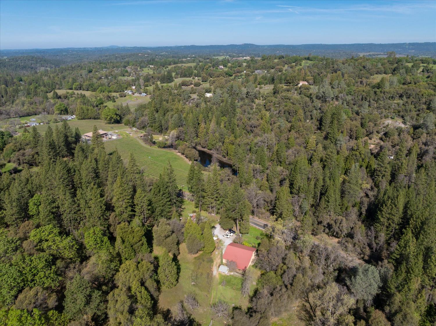 3640 Omo Ranch Road Somerset, CA 95684 - Photo 44 of 57 vineyard across the street