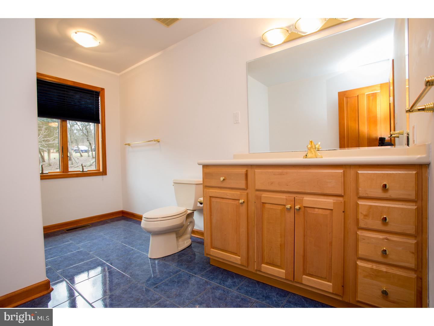 48 Wulaton Road Kintnersville, PA 18930 - Photo 12 of 25 Bathroom