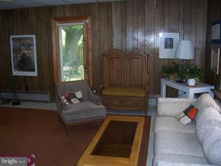 341 Calvert Road Merion Station, PA 19066 - Photo 5 of 6 Gallery Image 5