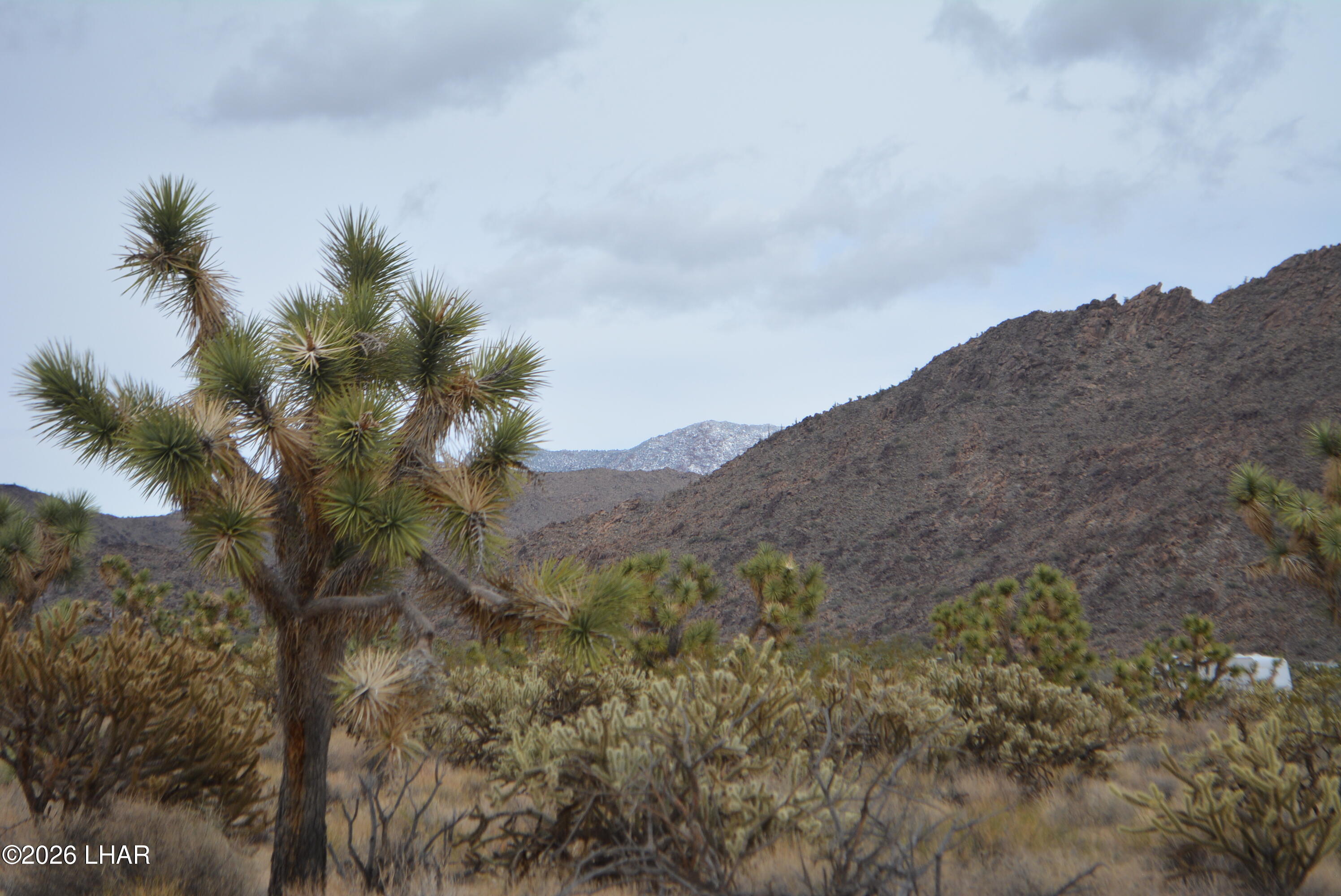 11900 Alan Road Yucca, AZ 86438 - Photo 44 of 93 DSC_0707