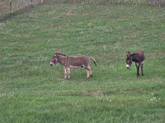 1902 North 29 Road Cadillac, MI 49601 - Photo 67 of 87