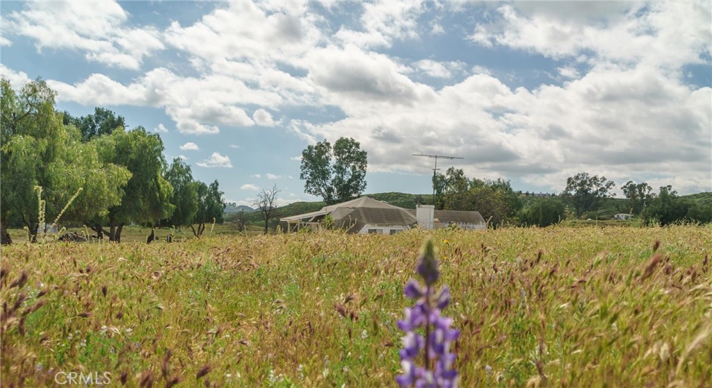 33041 Briggs Road Menifee, CA 92584 - Photo 31 of 60 a view of a yard with an outdoor space
