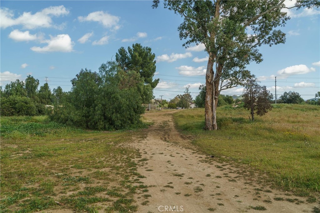 33041 Briggs Road Menifee, CA 92584 - Photo 45 of 60 a view of a yard with trees