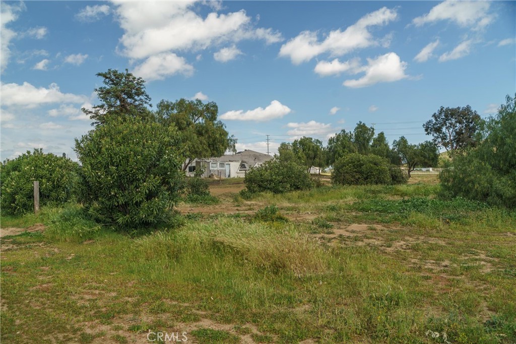 33041 Briggs Road Menifee, CA 92584 - Photo 46 of 60 a view of a big yard with potted plants and large tree