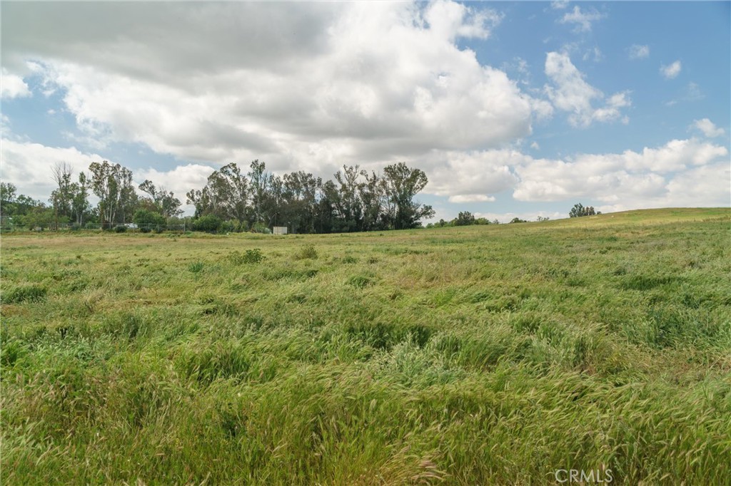 33041 Briggs Road Menifee, CA 92584 - Photo 50 of 60 a view of a big yard with large trees