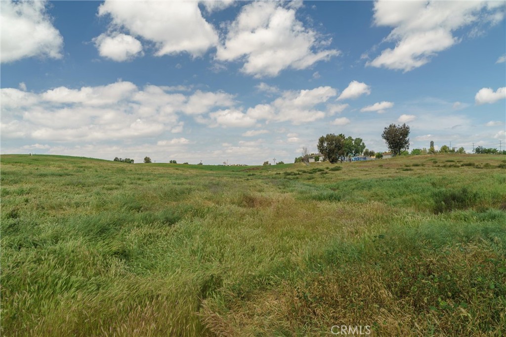33041 Briggs Road Menifee, CA 92584 - Photo 51 of 60 a view of a big yard with lots of green space