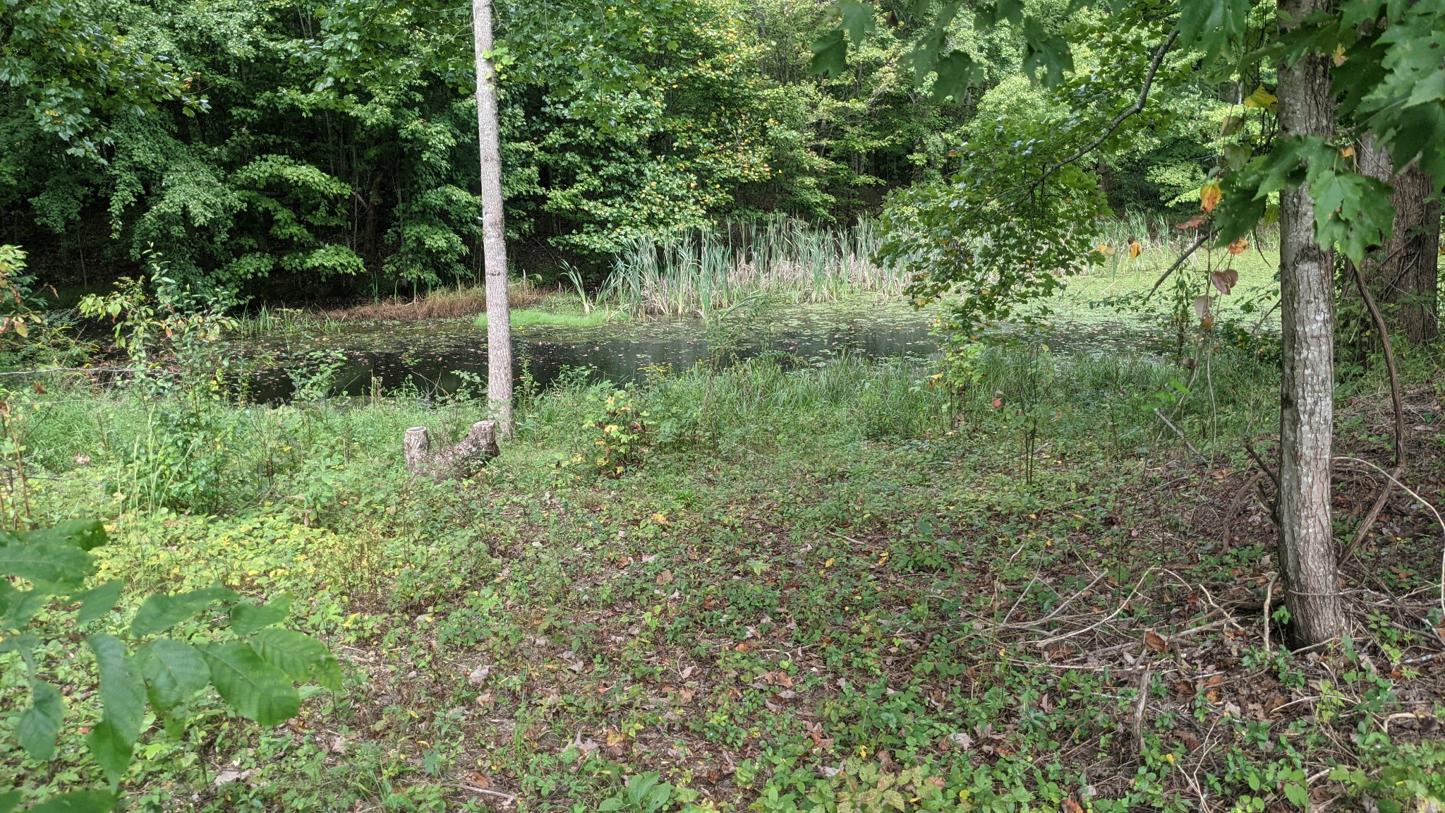 5969 Greentown Road Tracy City, TN 37387 - Photo 1 of 13 Gallery Image 1
