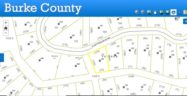 a view of a yard with plants and large trees